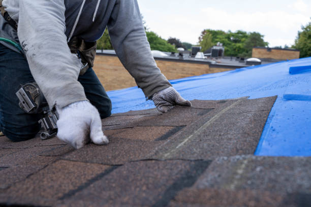 Best Roof Gutter Cleaning  in Underwood, IA