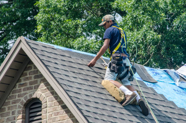 Best Roof Repair Services  in Underwood, IA